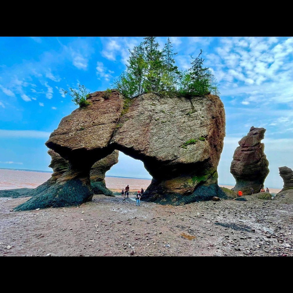 Meet your Posher, Elena